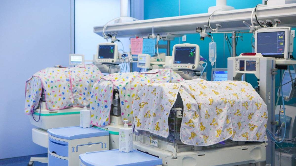    Фото: Telegram / Мэр Москвы Сергей Собянин