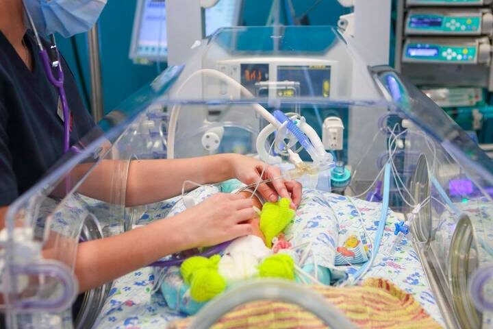  Фото: Telegram / Мэр Москвы Сергей Собянин