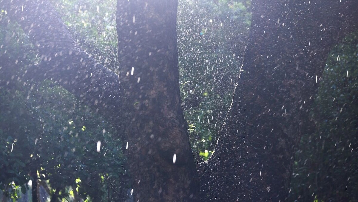     Автор: Unsplash