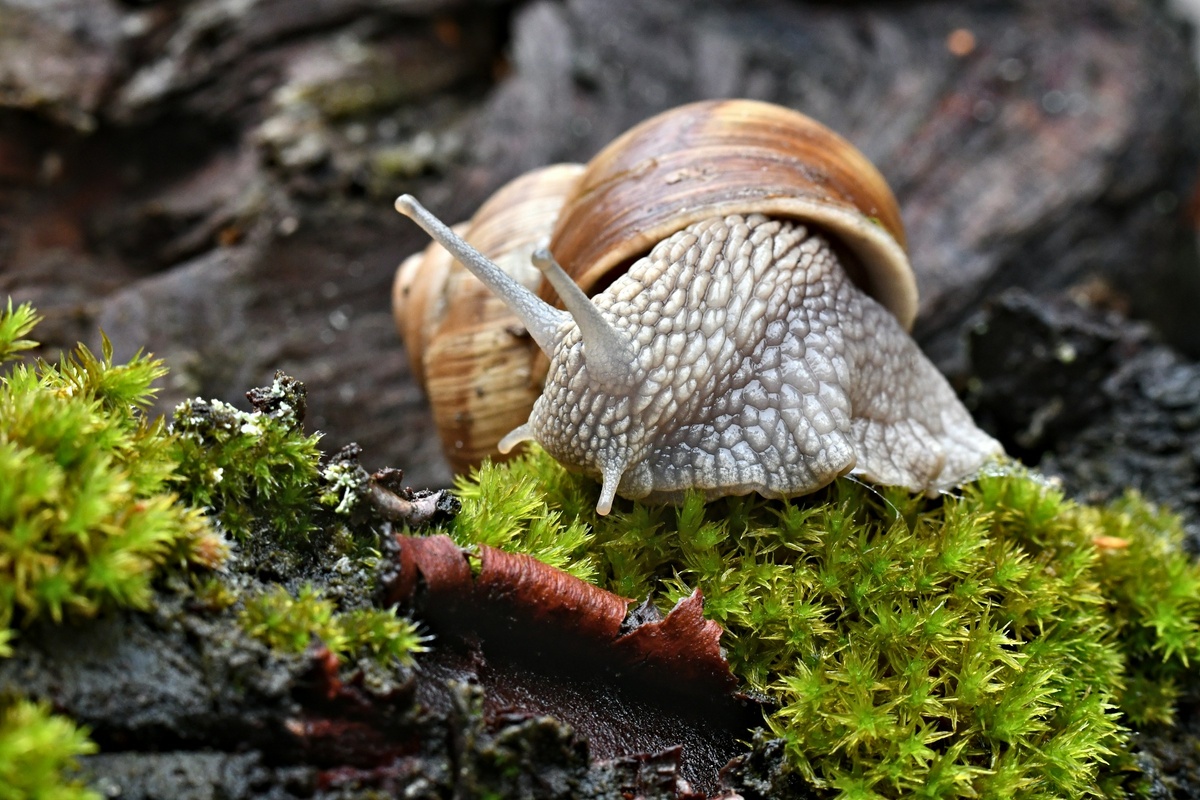 Фото с бесплатного фотостока https://unsplash.com, автор Pawel Andrzejczak