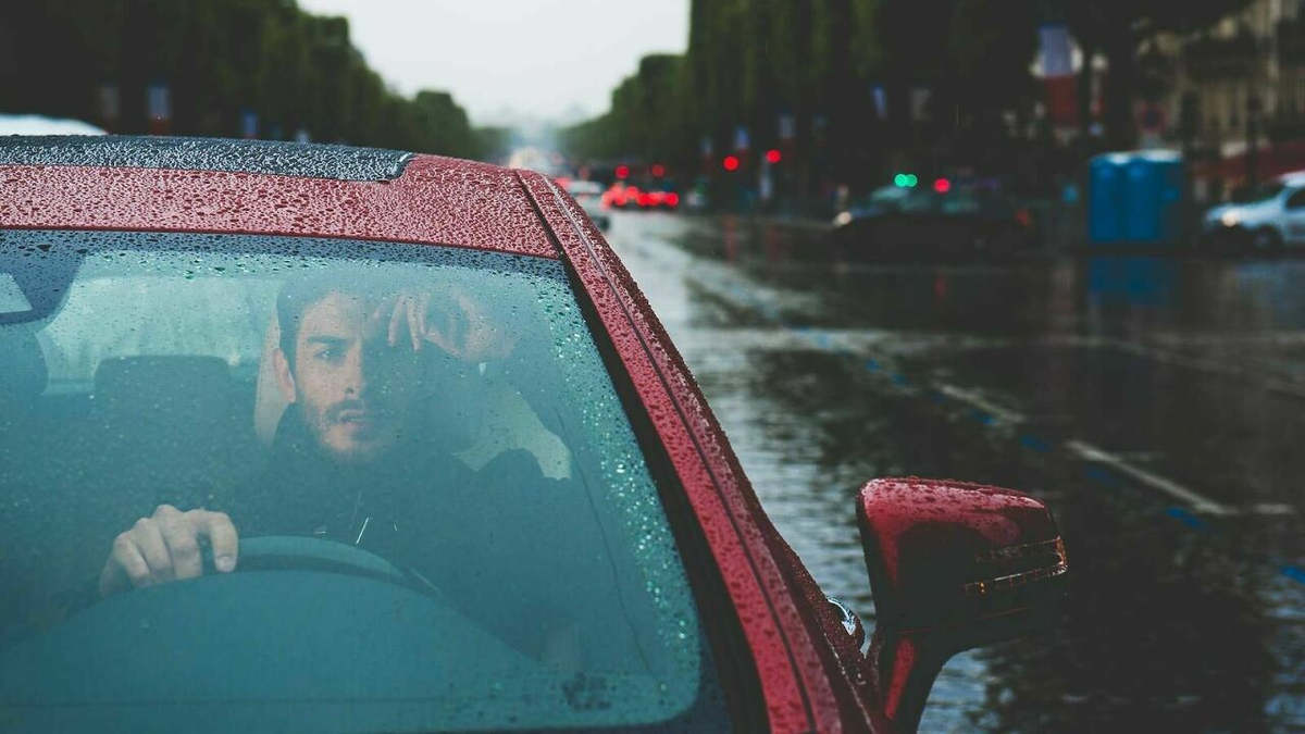 Фото Яндекс картинки.