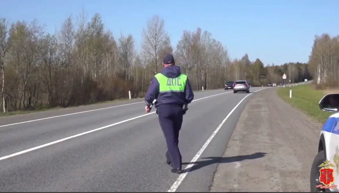    Фото: стоп-кадр видео пресс-службы ГУ МВД по Петербургу и Ленобласти