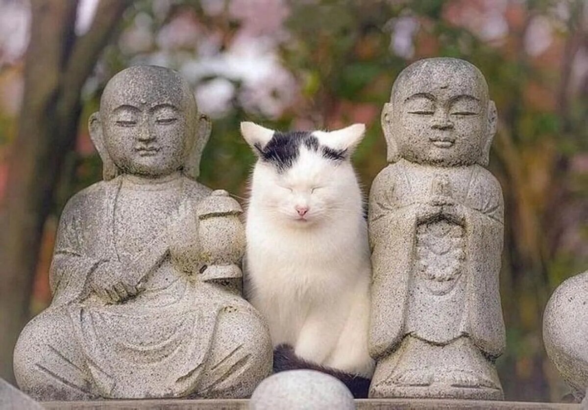 Фото из интернета