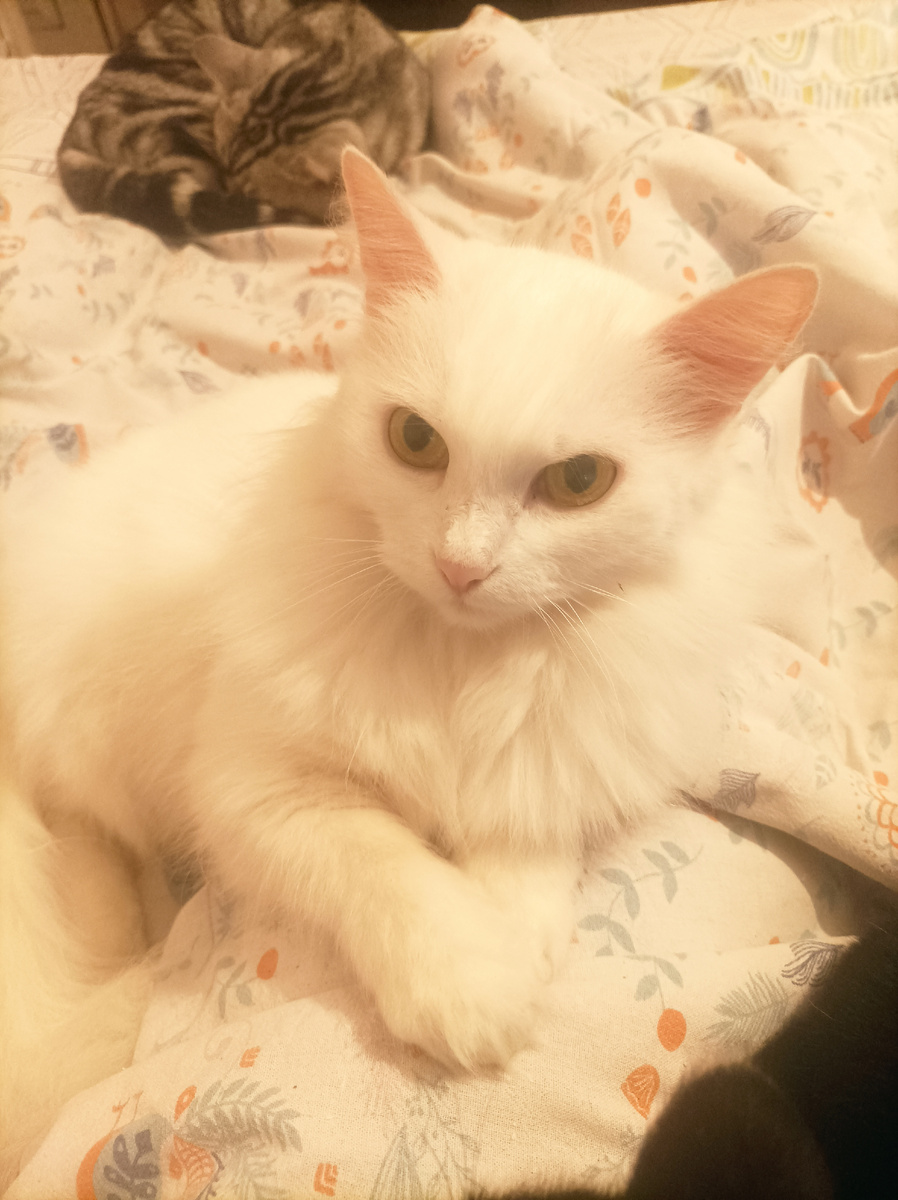 Люсеньке, а дальше Бэби