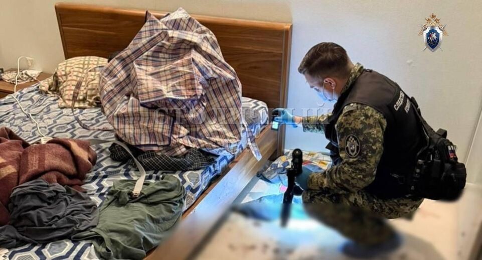    ГСУ СК России по Москве / Telegram