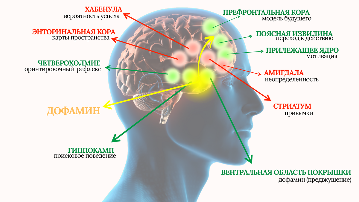 Визуализация процесса "ОТ: Появилась идея - ДО: Реализация"