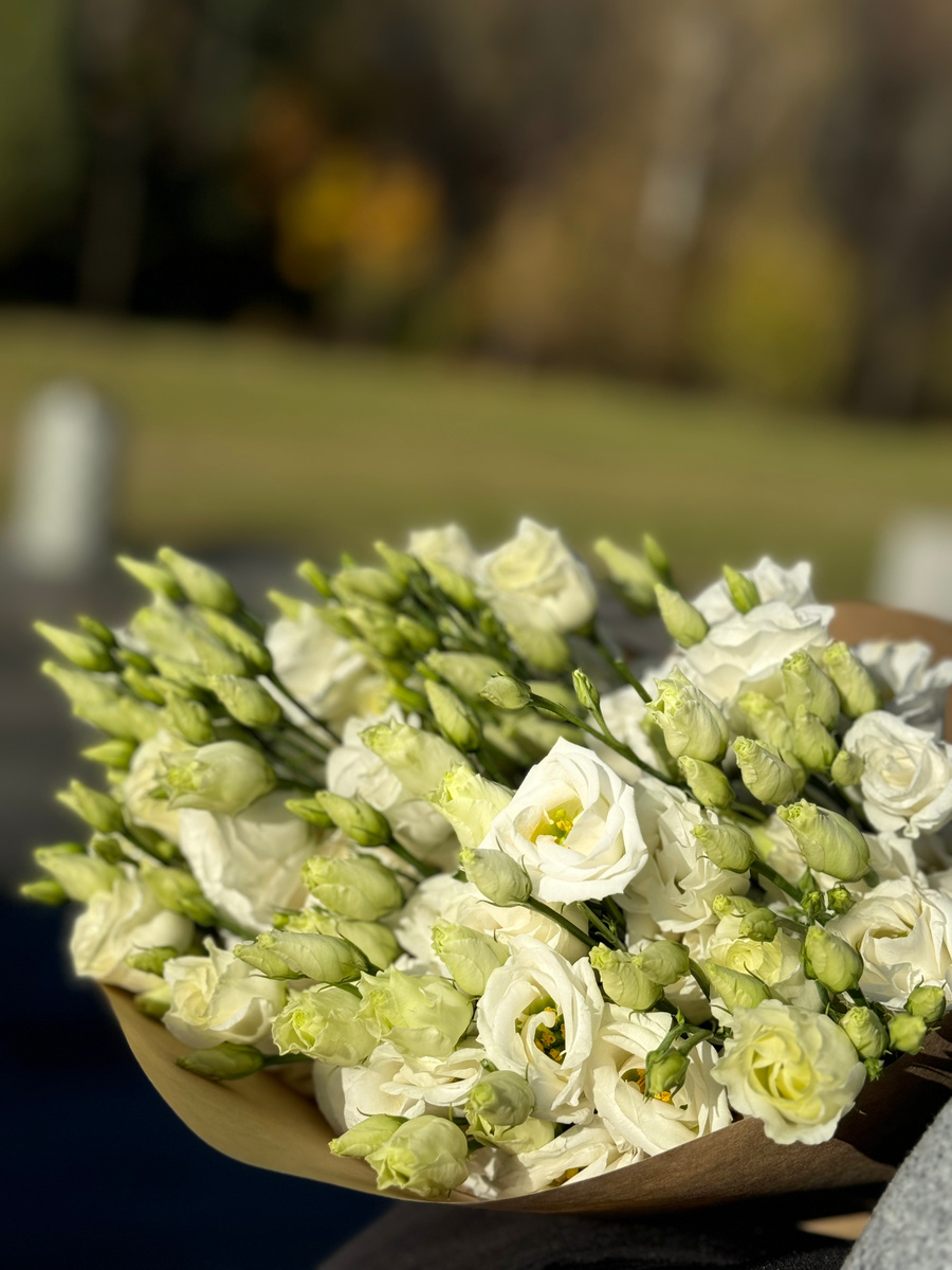 Последний звонок всё ближе:)