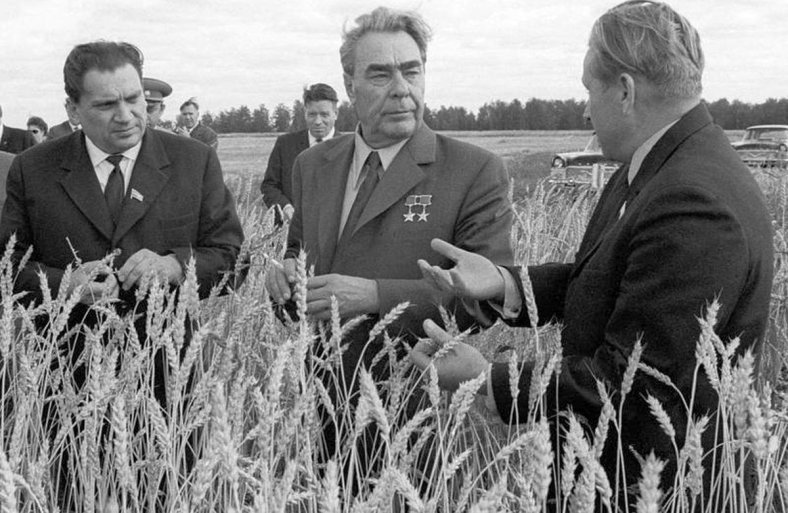 Русская деревня в 1960-80-е годы. Глава 3.8. Часть 1. Экономическое положение. Положительный эффект реформ.