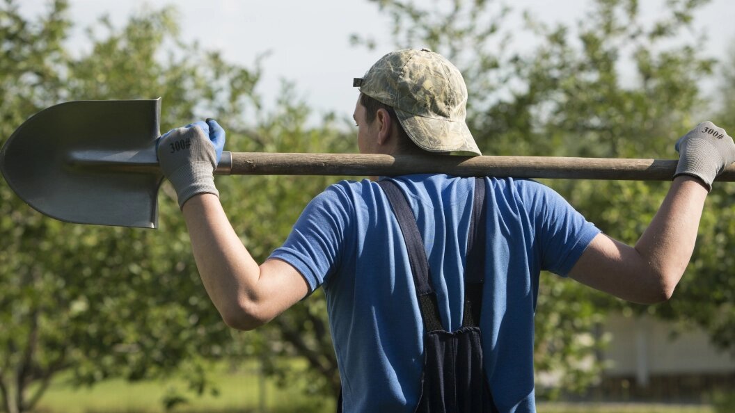    Nikolay Gyngazov/Globallookpress