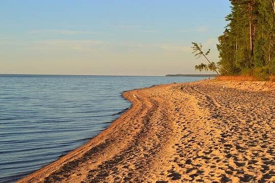    В Бурятии обнаружили останки украинского ученого