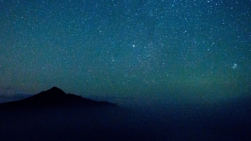      Фото: @nightunter / freepik.com