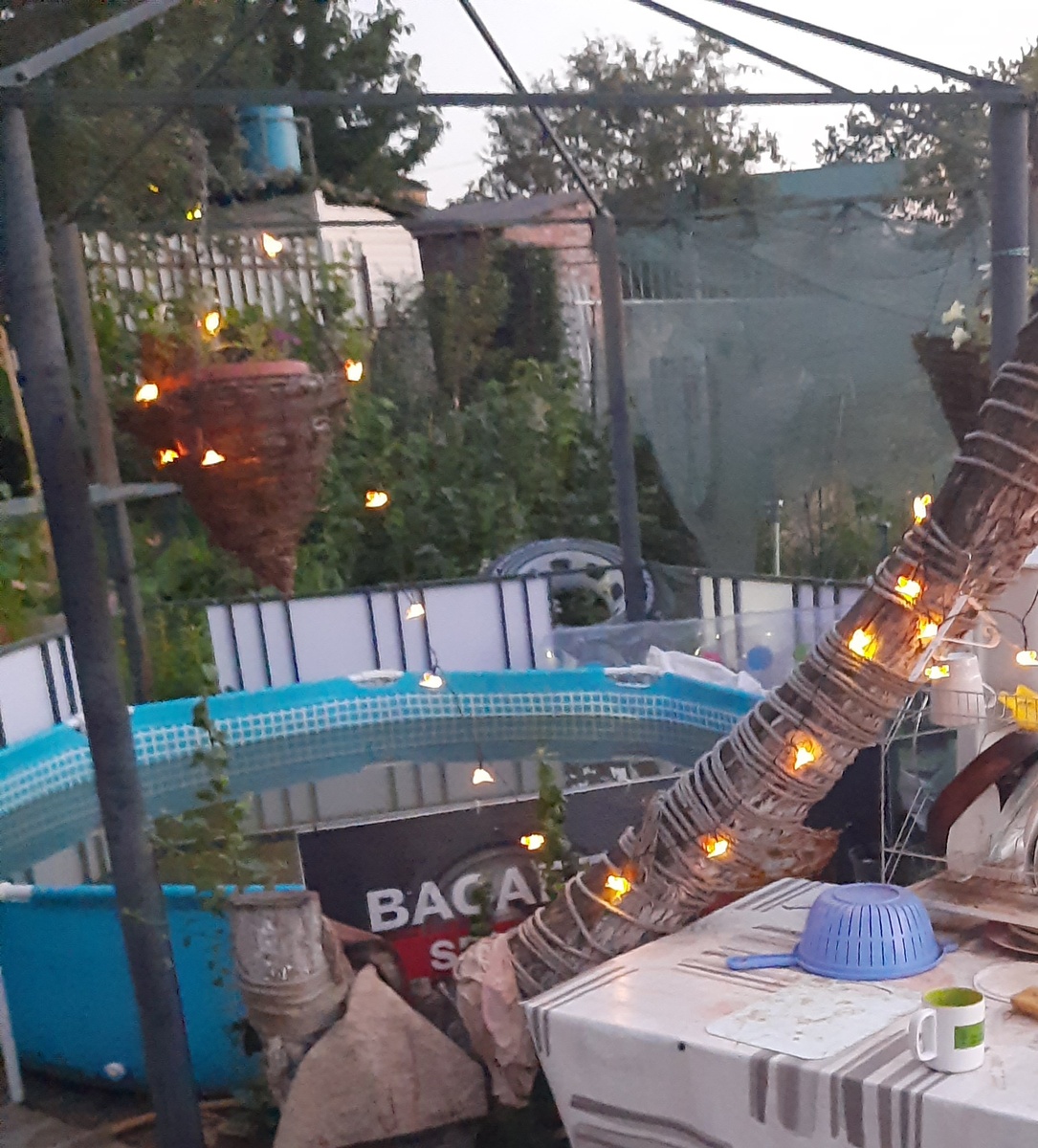 Фото сезона 24