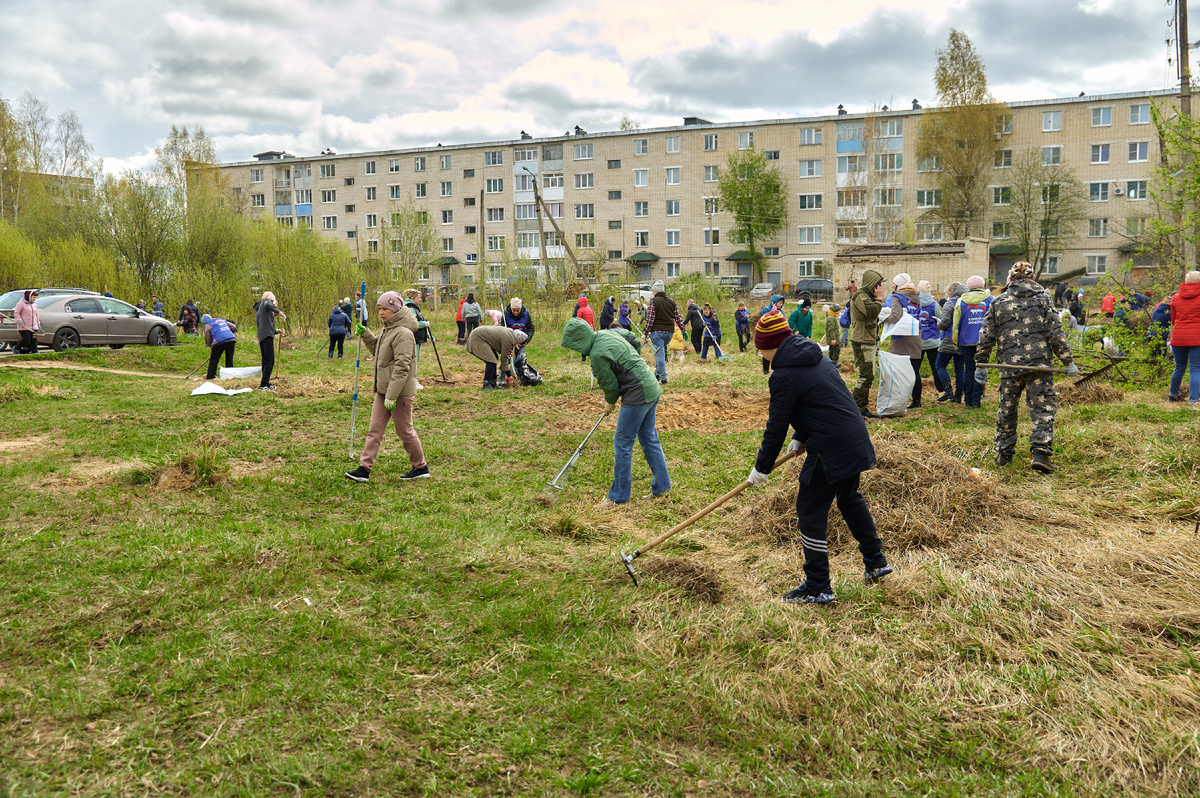 📸 [уборка в парке, работающие участники с мешками и инвентарём]