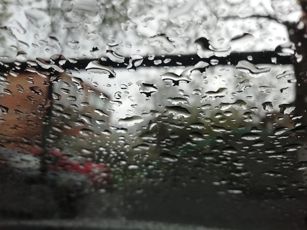    Фото Елены Врублевской admin