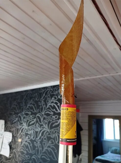 Когда лента покрывается мухами, ее вид может отбить желание использовать этот способ снова