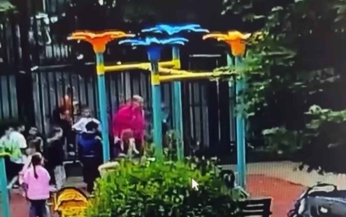    Жительница Краснодара на детской площадке избила обидевшего сына ребенка