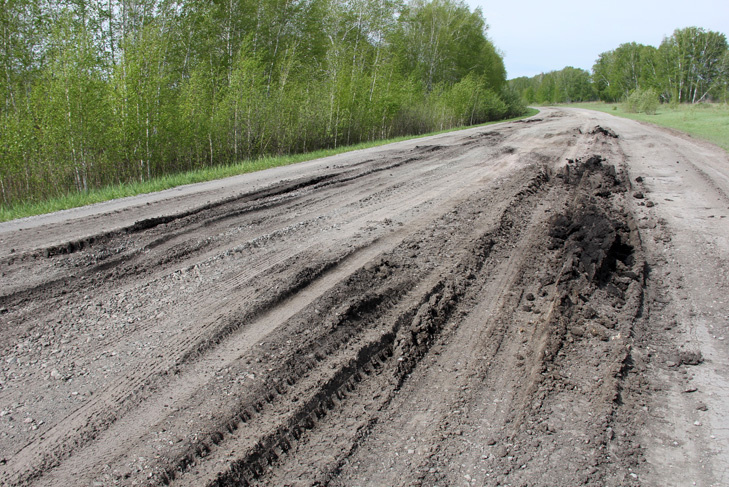 Грунтовые дороги размыло в Венгеровском районе. Фото «Венгеровская газета».📷
