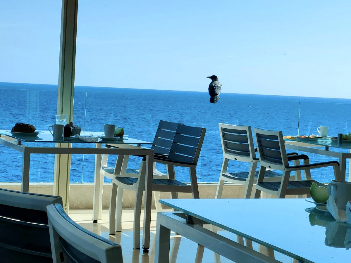 Фото © «Московская газета»