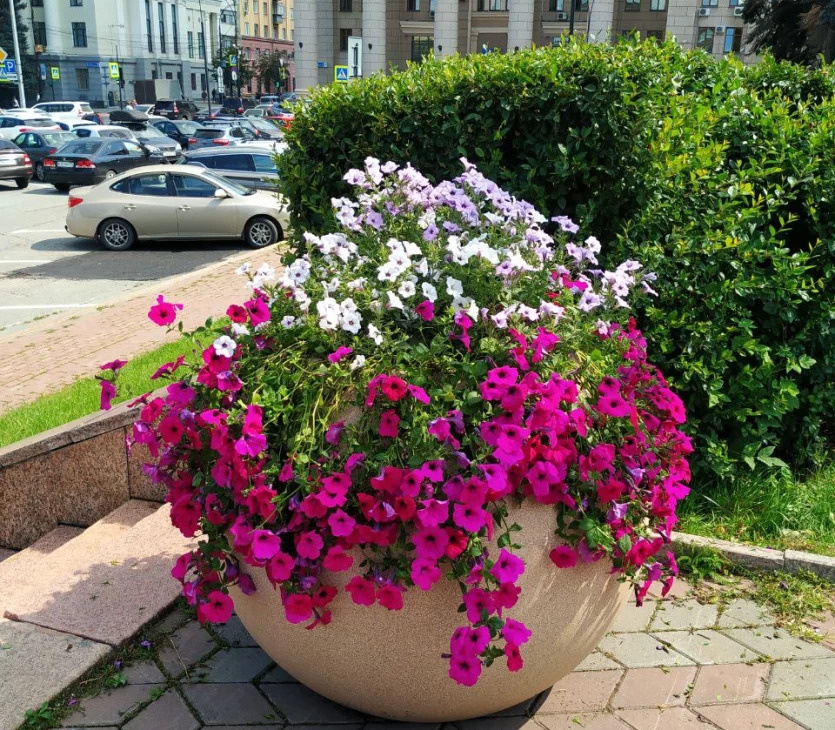 Фото: пресс-служба Администрации Челябинска