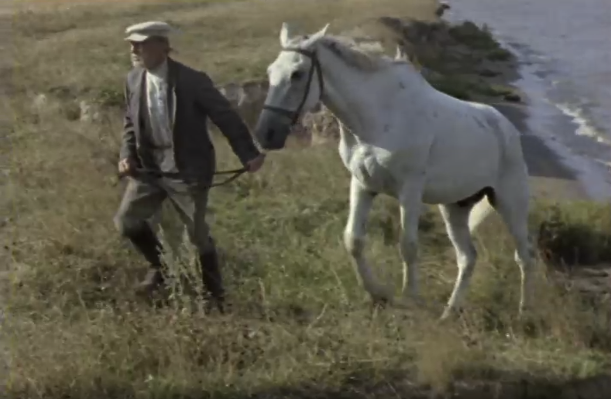 Кадр из телефильма "Светлая речка Вздвиженка"(1971)