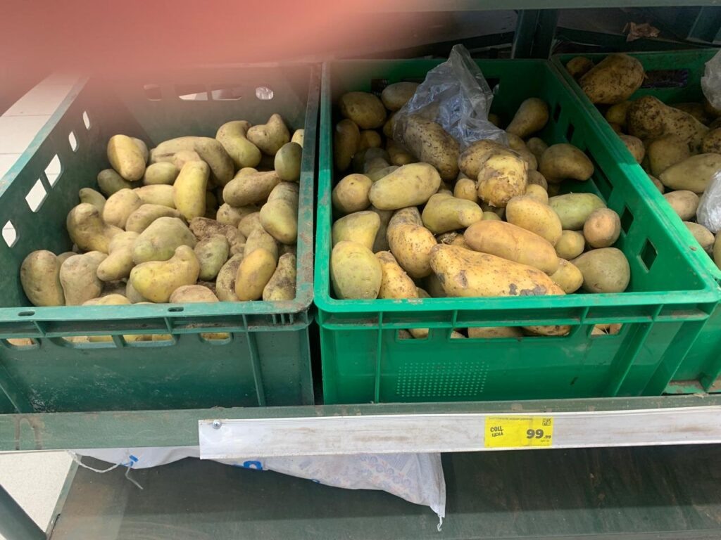 Фото Юлии Бидун и Фариды Якушевой, «РТ»