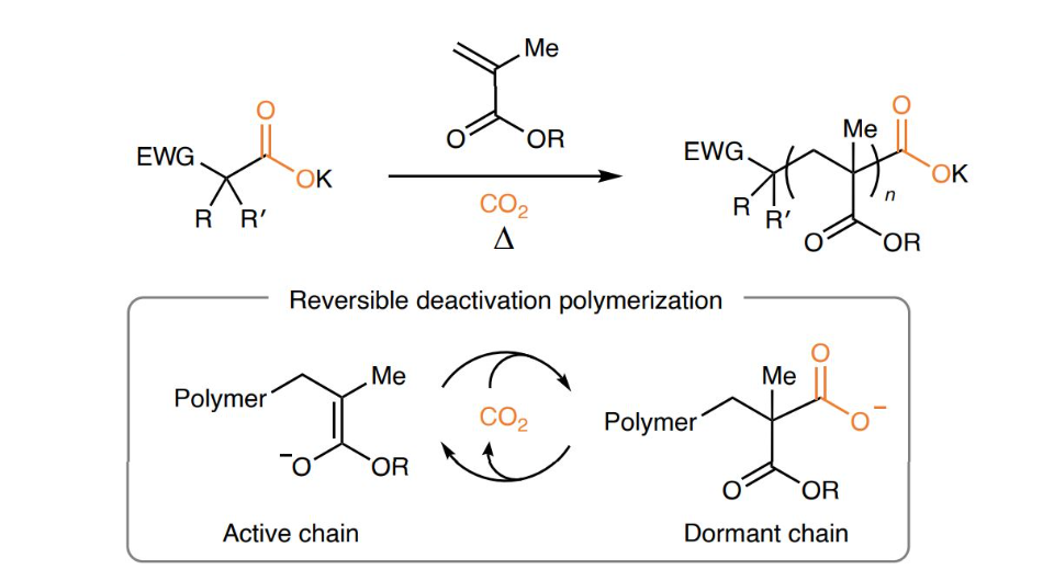   Paige E. Jacky et al. / Nature Chemistry, 2025