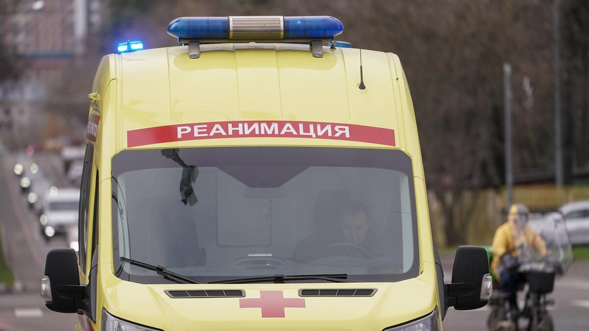    Фото: ИЗВЕСТИЯ/Эдуард Корниенко