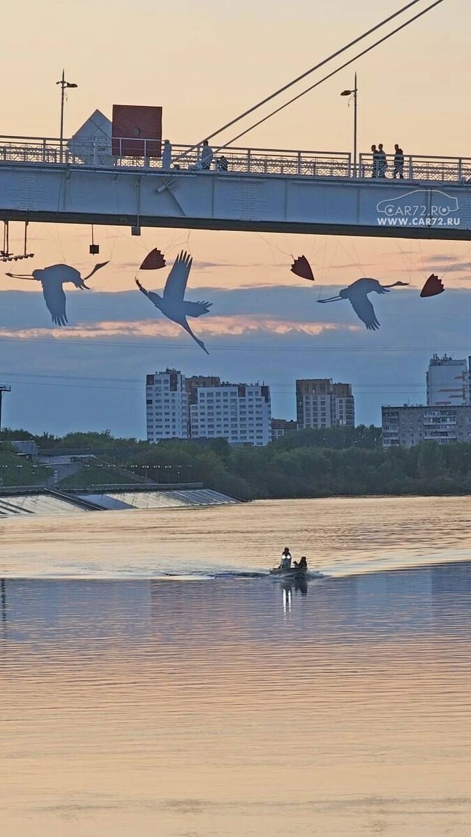     Источник: ТЮМЕНЬ НОВОСТИ (АВТО, ДТП, ЧП, ЧС и не только)