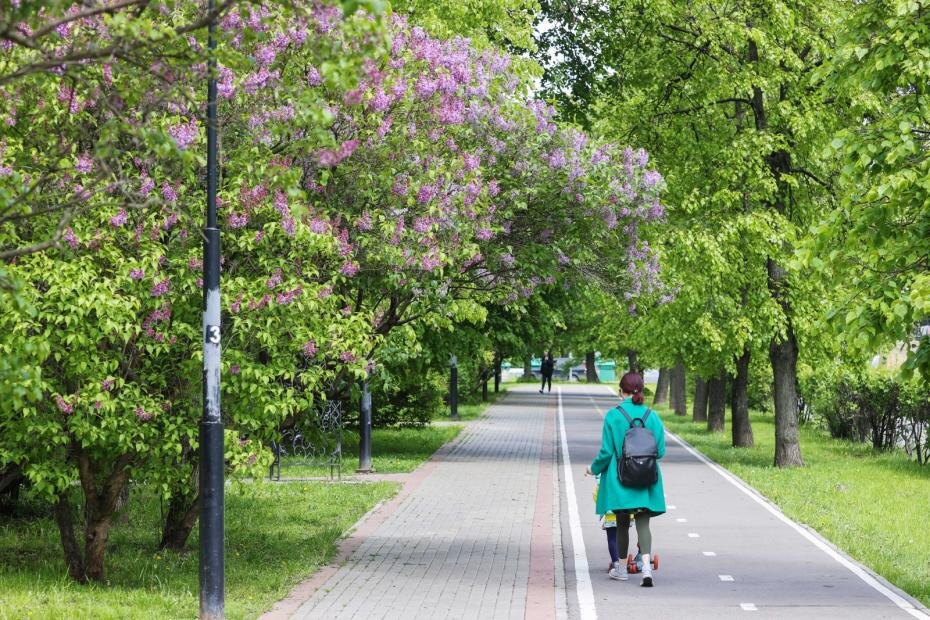    Сергей Булкин/NEWS.ru