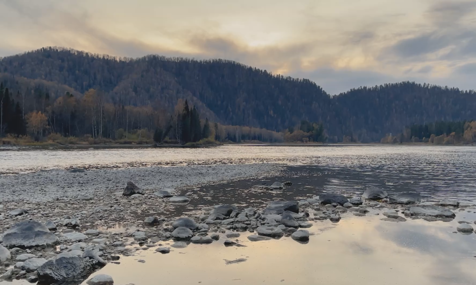    Река Бия. Источник: Толк