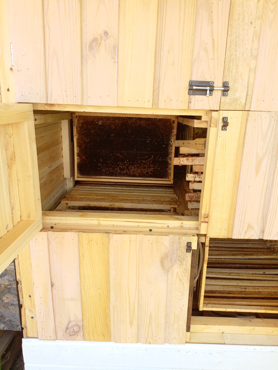 Сотохранилище