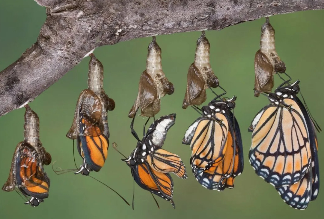 Превращение начинается с трещин
