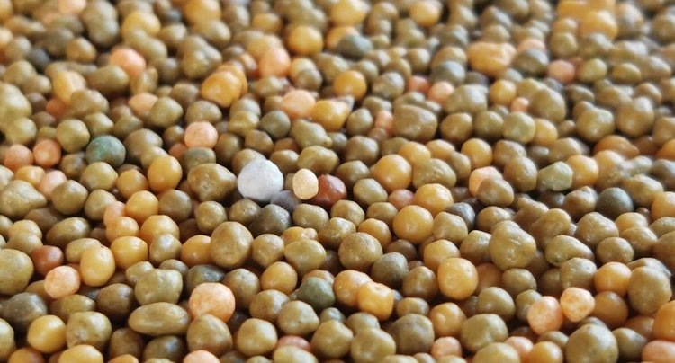    Против повышения пошлин на российские минеральные удобрения в ЕС выступают испанские фермеры