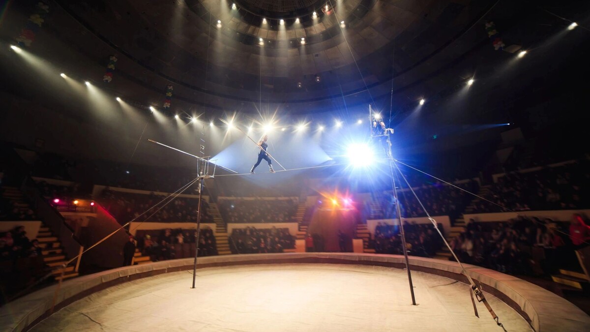    Фото: David Tadevosian/Shutterstock/Fotodom