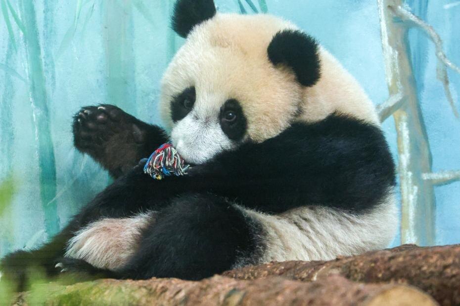    Сергей Петров/NEWS.ru