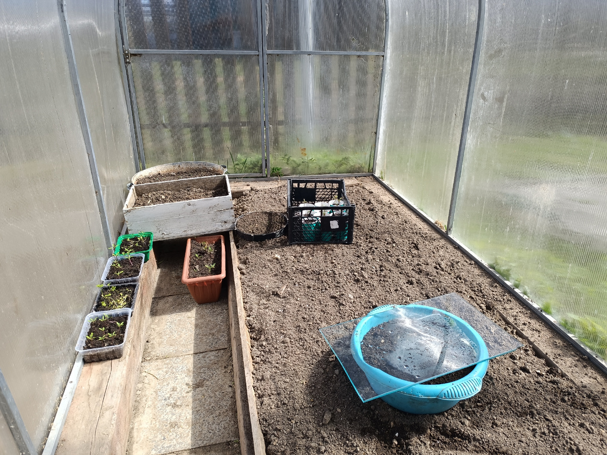 Огурцы, кабачки, рассаду цветочков в теплицу номер  1