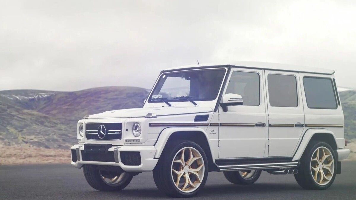     Источник: arenda-gelika.ru