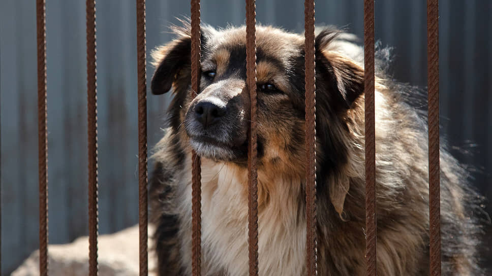 Фото: Никита Юдин / Коммерсантъ