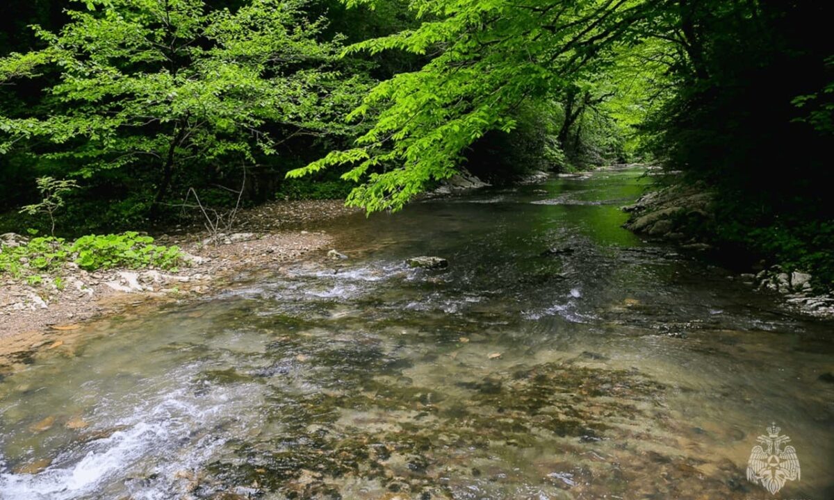    Фото t.me/urpso_mchs