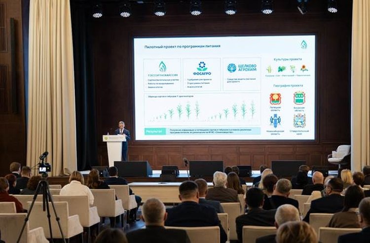     Свои семена, защита и питание
