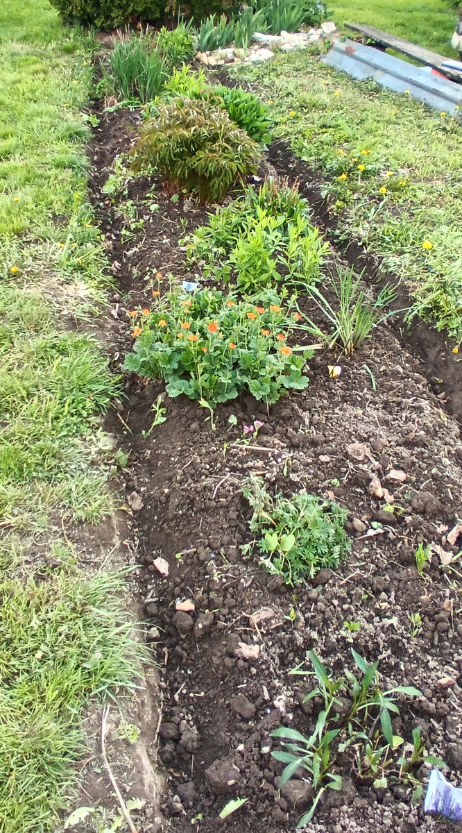 Первый цветник.