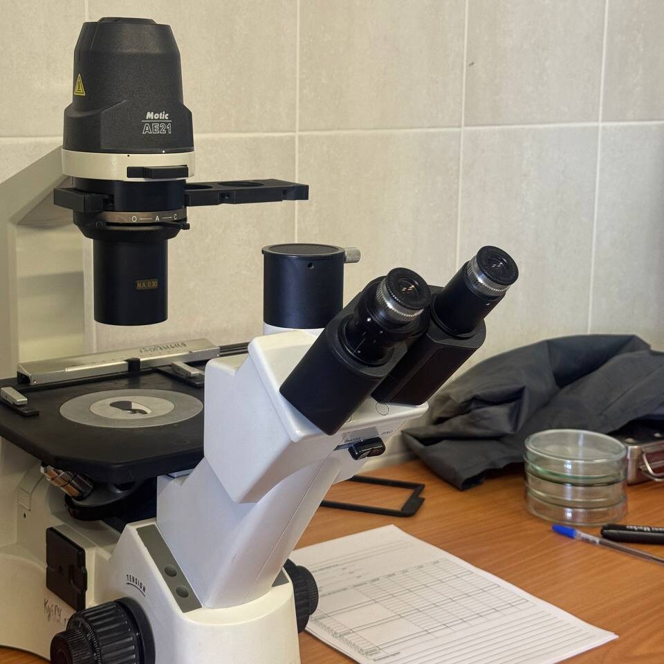 фото: Дианы Клейн / «Деловая газета.Юг»