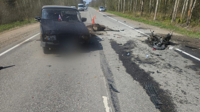 Фото: Пресс-служба ГУ МВД России по г.Санкт-Петербургу и Ленинградской области