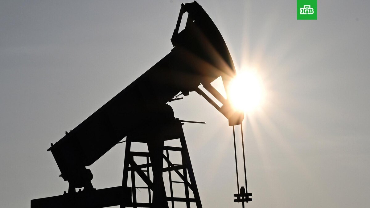    Фото: РИА Новости © 2025, Максим Богодвид