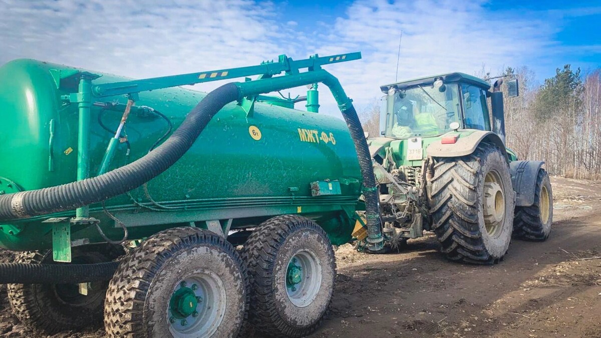     Источник: 1MI