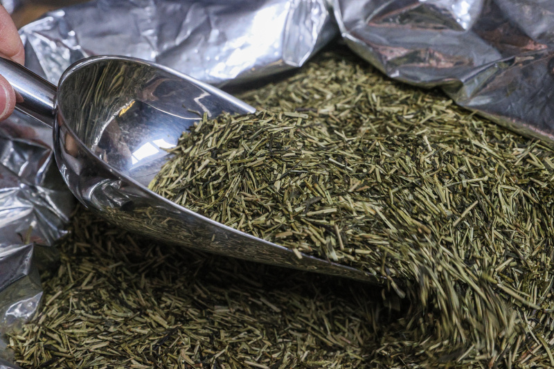    Фото: © Bulkin Sergey/news.ru/Globallookpress