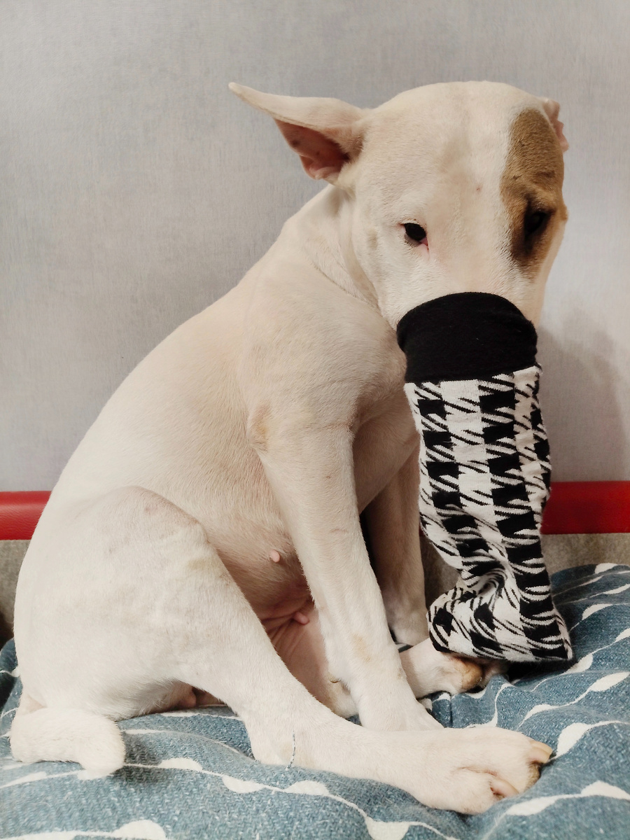 Ри устраивает забастовку