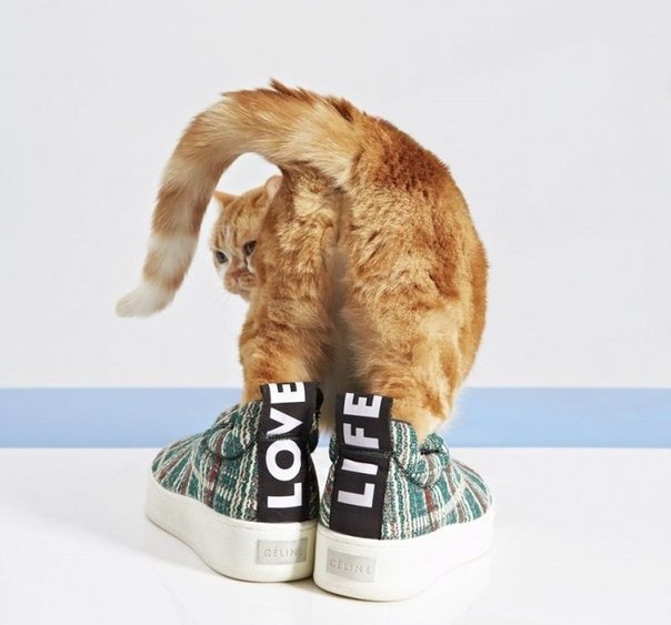 Источник картинки: https://clck.ru/3MCaBZ