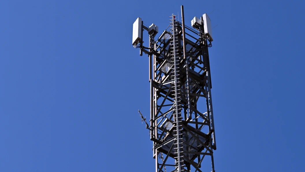    Martin Schutt/Globallookpress