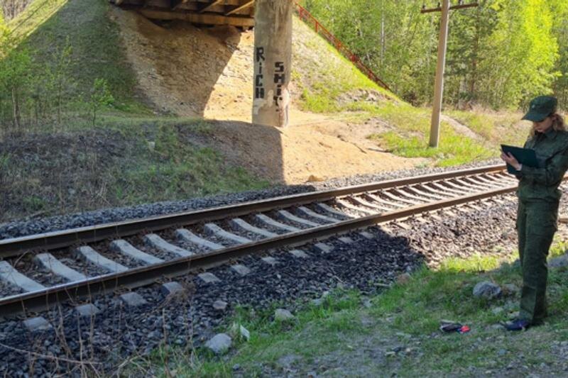    Центральное МСУТ СК РФ